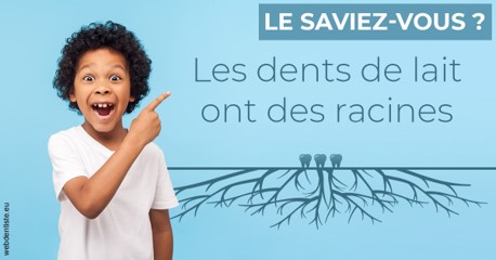 https://dr-deruelle-frederic.chirurgiens-dentistes.fr/Les dents de lait 2