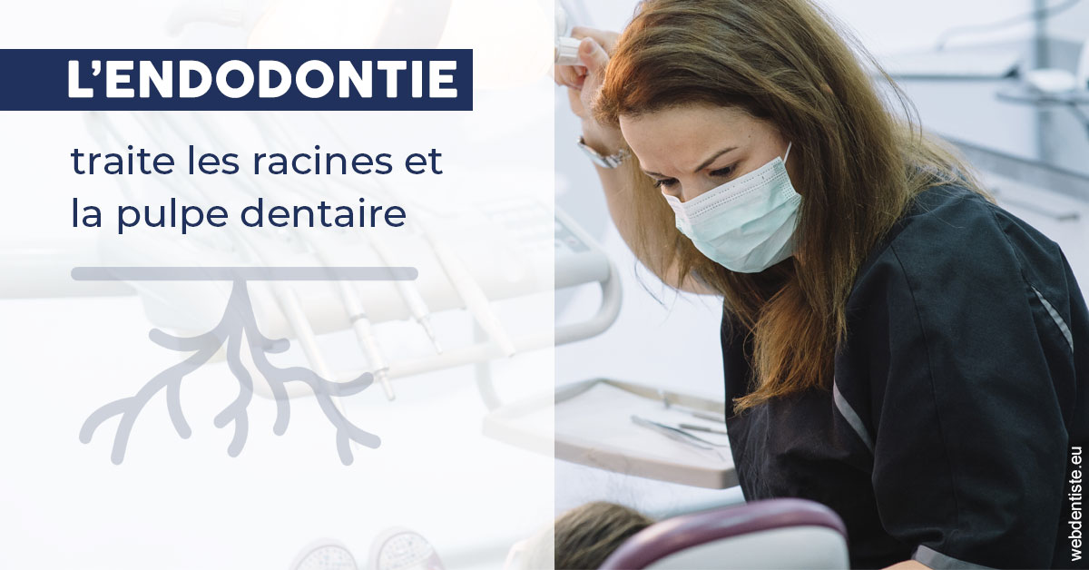 https://dr-deruelle-frederic.chirurgiens-dentistes.fr/L'endodontie 1