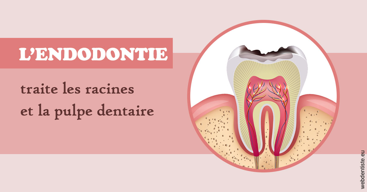 https://dr-deruelle-frederic.chirurgiens-dentistes.fr/L'endodontie 2
