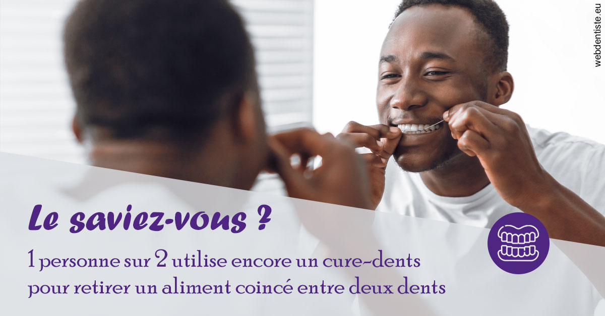 https://dr-deruelle-frederic.chirurgiens-dentistes.fr/Cure-dents 2