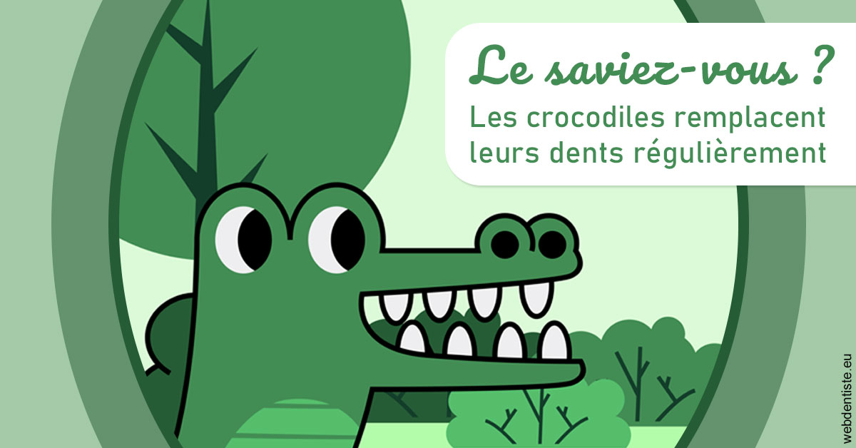 https://dr-deruelle-frederic.chirurgiens-dentistes.fr/Crocodiles 2