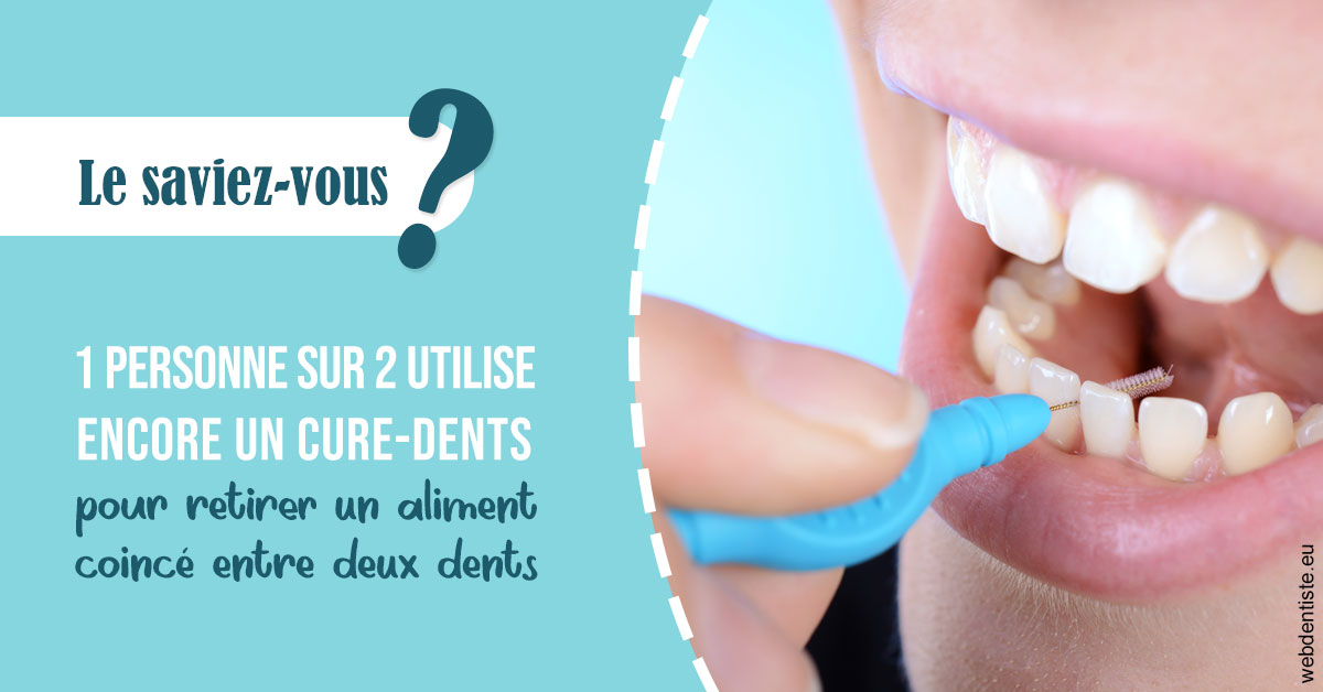 https://dr-deruelle-frederic.chirurgiens-dentistes.fr/Cure-dents 1