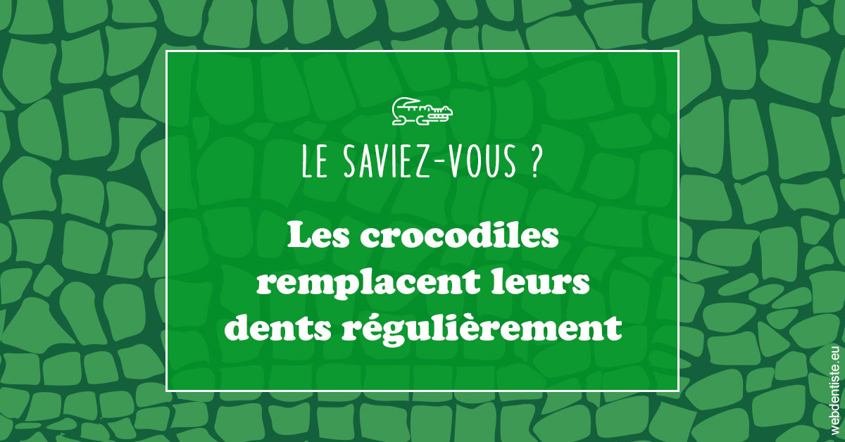 https://dr-deruelle-frederic.chirurgiens-dentistes.fr/Crocodiles 1
